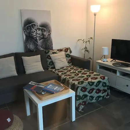 Appartement Le Cosy Denim - Centre 2 Personnes *